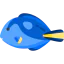 Surgeon fish ícone 64x64
