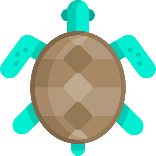 Turtle icon