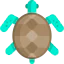 Turtle icon 64x64