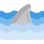 Shark icon 64x64