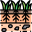 Plants 图标 64x64