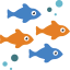 Fish 图标 64x64