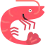 Shrimp 图标 64x64