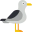 Seagull іконка 64x64