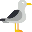 Seagull 图标 64x64