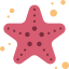 Starfish 图标 64x64