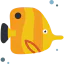 Fish 图标 64x64