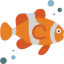 Clownfish 图标 64x64