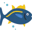 Tuna 图标 64x64