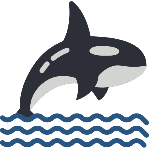 Orca icon