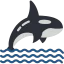 Orca 图标 64x64