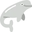 Beluga 图标 64x64
