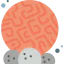 Coral 图标 64x64