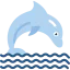Dolphin 图标 64x64