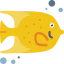Angelfish 图标 64x64