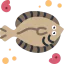 Flounder 图标 64x64
