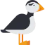 Puffin 图标 64x64