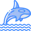 Orca icon 64x64