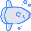 Sunfish 图标 64x64