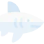 Shark icon 64x64