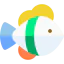 Clown fish icon 64x64