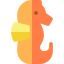 Seahorse icon 64x64