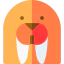 Seal icon 64x64