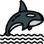 Orca icon 64x64
