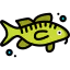 Cod icon 64x64