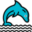 Dolphin icône 64x64