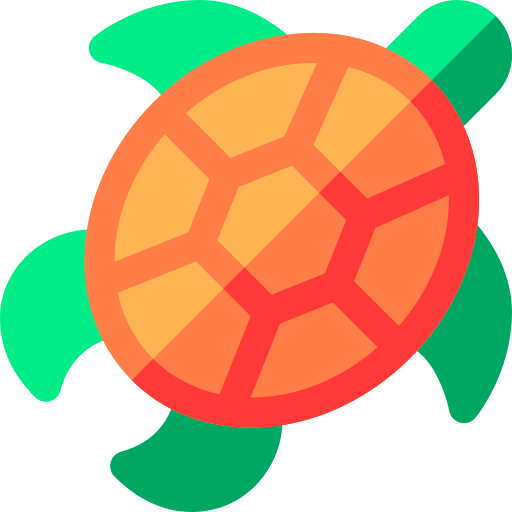 Turtle 상