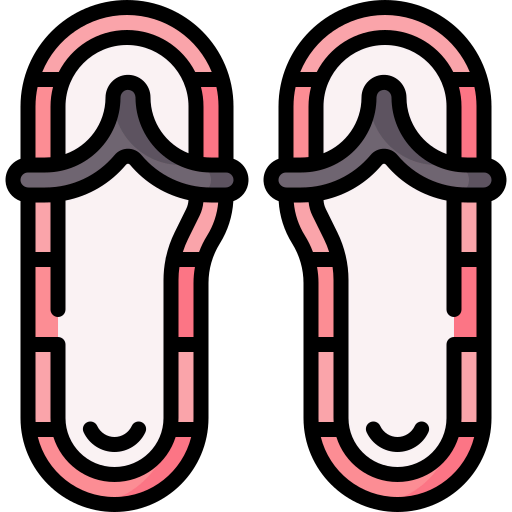 Flip flops icon