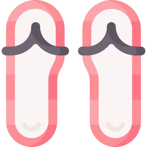 Flip flops icon