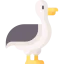 Seagull icon 64x64
