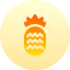 Pineapple icon 64x64