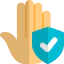 Secure icon 64x64