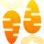 Carrot icon 64x64