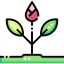 Sapling biểu tượng 64x64