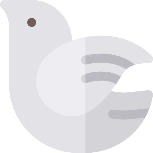 Dove 상