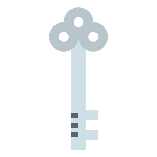 Key icon