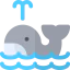 Whale icon 64x64