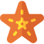 Starfish icon 64x64