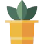 Plant 图标 64x64