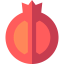 Pomegranate 图标 64x64