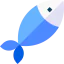 Fish 图标 64x64
