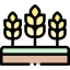 Wheat icon 64x64