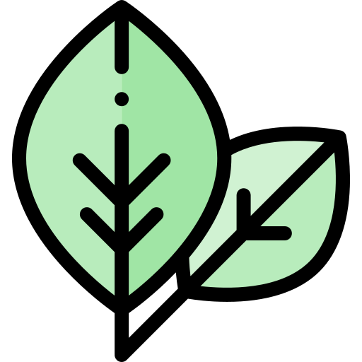 Leaf icon