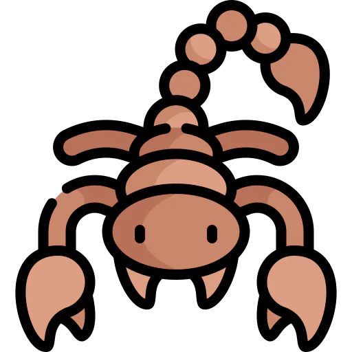 Scorpion 图标