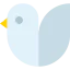 Pigeon icône 64x64