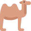 Camel 상 64x64